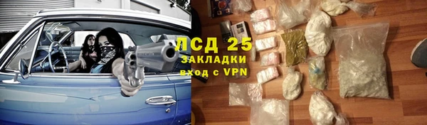 молекула духа Михайловск