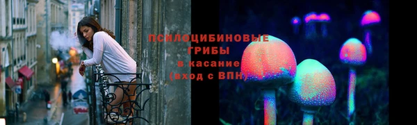 соль курить ск Михайлов
