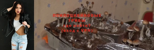 сатива Медногорск