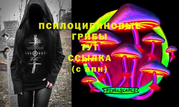 молекула духа Михайловск