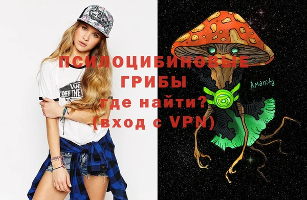 мескалин Медвежьегорск