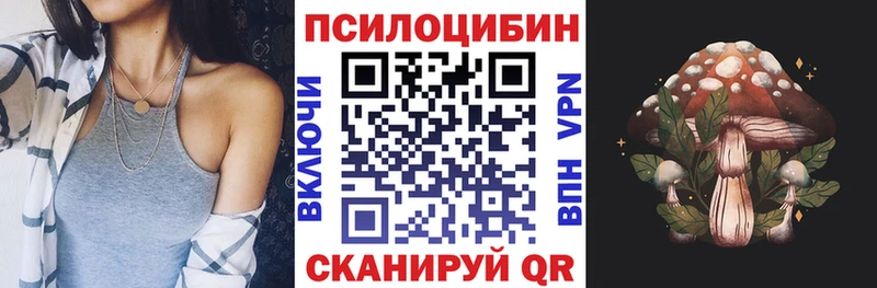 Галлюциногенные грибы Cubensis  купить  цена  Томмот 